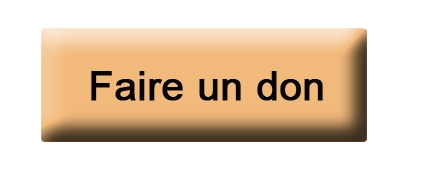 Faire un don � l'Aire de jeu